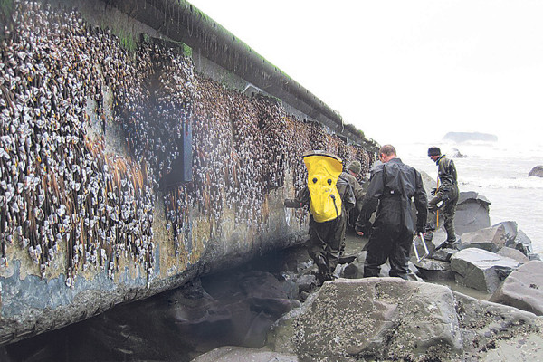 Members of the Washington tsunami debris experts team inspect a dock Friday Dec. 21, 2012 that apparently floated from Japan after last year's tsunami and just washed ashore on a Washington beach near Forks Tuesday. (AP Photo/National Park Service)