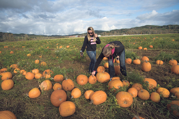 Aaron Lavinsky | The Daily World From left, Kaitlynn Wakefield and her mother Kendra Wakefield browse through the selection of pumpkins at the Shaffner Farms Pumpkin Patch on Thursday afternoon.