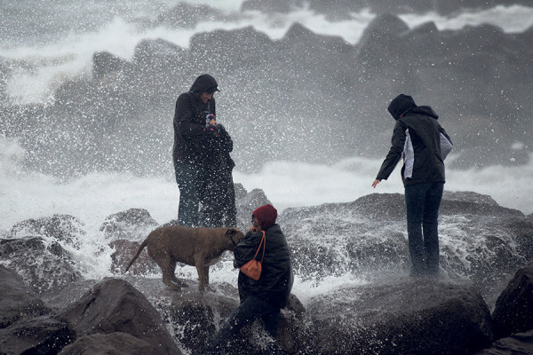 Aaron Lavinsky | The Daily World A group of storm watchers and their dog are drenched by the surf crashing into a jetty in Westport during a severe storm on Sunday.